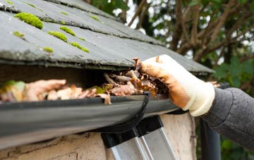 gutter cleaning Cowling