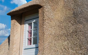Cowling thatch roof disadvantages